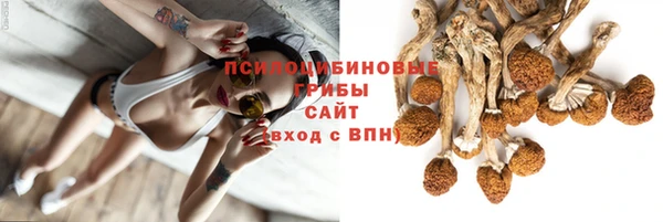 твердый Армянск