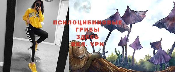 твердый Армянск