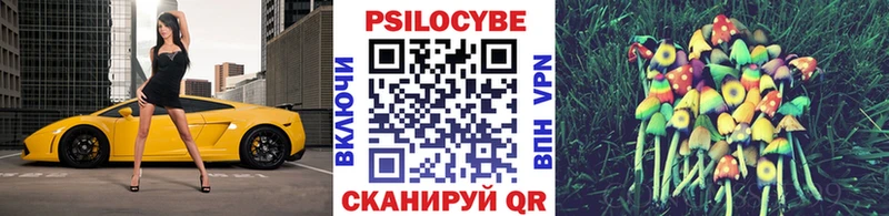 omg онион  Полярные Зори  Псилоцибиновые грибы Magic Shrooms  наркошоп 
